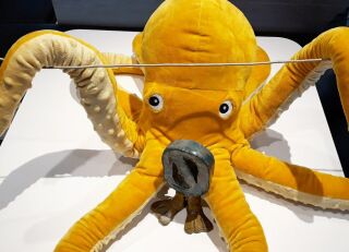 Żółta superinteligentna ośmiornica podsłuchuje podmorski kabel