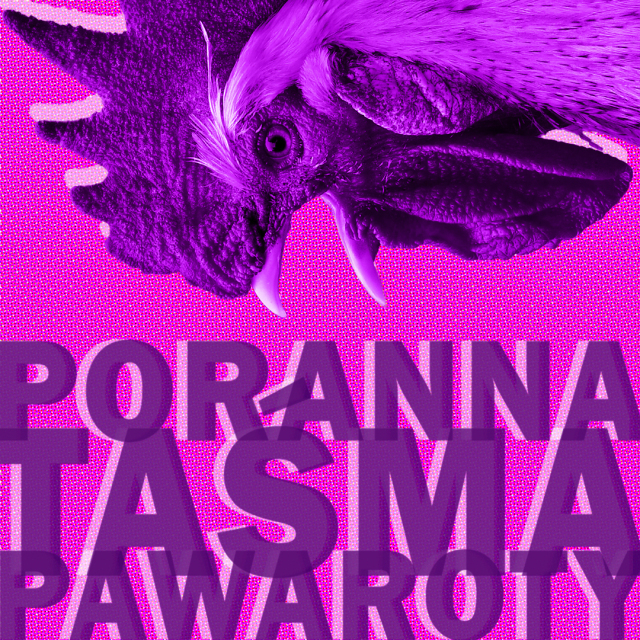 poranna tasma pawaroty.jpg