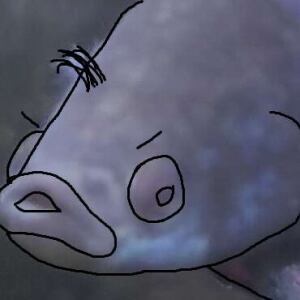 temporarily a fish (angy)