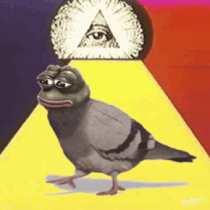 signal ≋ dadalo