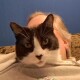 Alan Miller :verified_paw: 🇺🇦