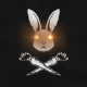 Bunnies 4 Palestine :verified: