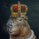 Capybara :fedora: