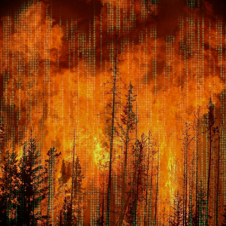 A forest wildfire. Peeking through the darks in the stark image are hints of the green Matrix "waterfall" effect.

Image:
Cameron Strandberg (modified)
https://commons.wikimedia.org/wiki/File:Fire-Forest.jpg

CC BY 2.0
https://creativecommons.org/licenses/by/2.0/deed.en
