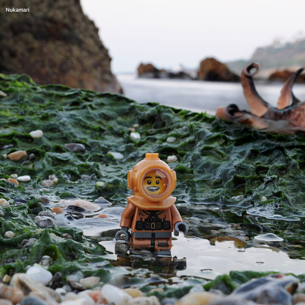 A lego minifig diver in a rock pool by the shore - Photo by Nukamari on Flickr Creative Commons CC BY-NC-ND 2.0 Deed