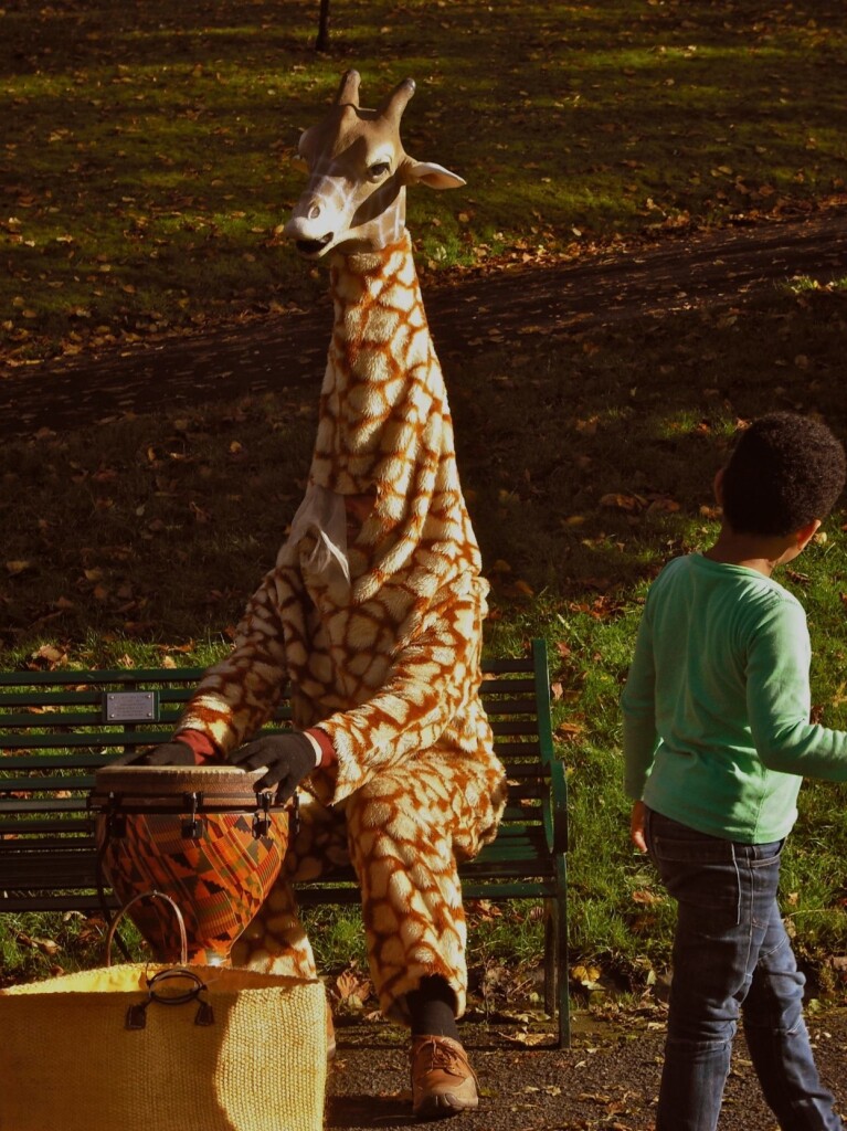 Man in giraffe suit playing a bongo while little kid does a double take