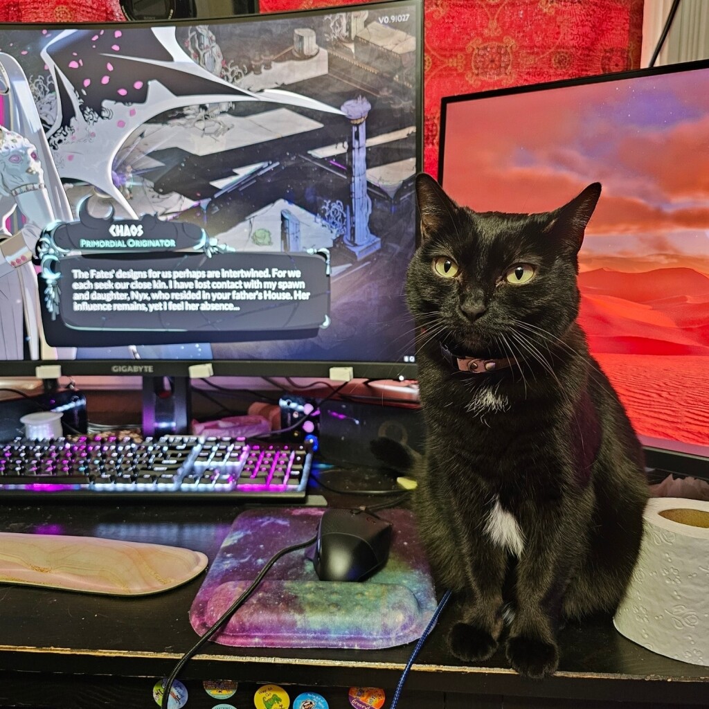 Photo of my black cat Rosie sitting contentedly next to my computer with Hades 2 paused on screen. 