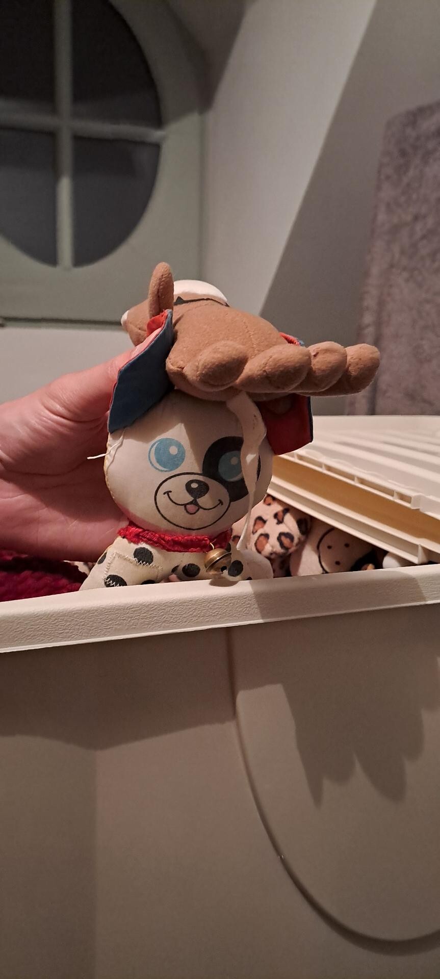Picture of a plush of mine whose head is sticking out of the box. He is holding his own plush which he is about to throw overboard.