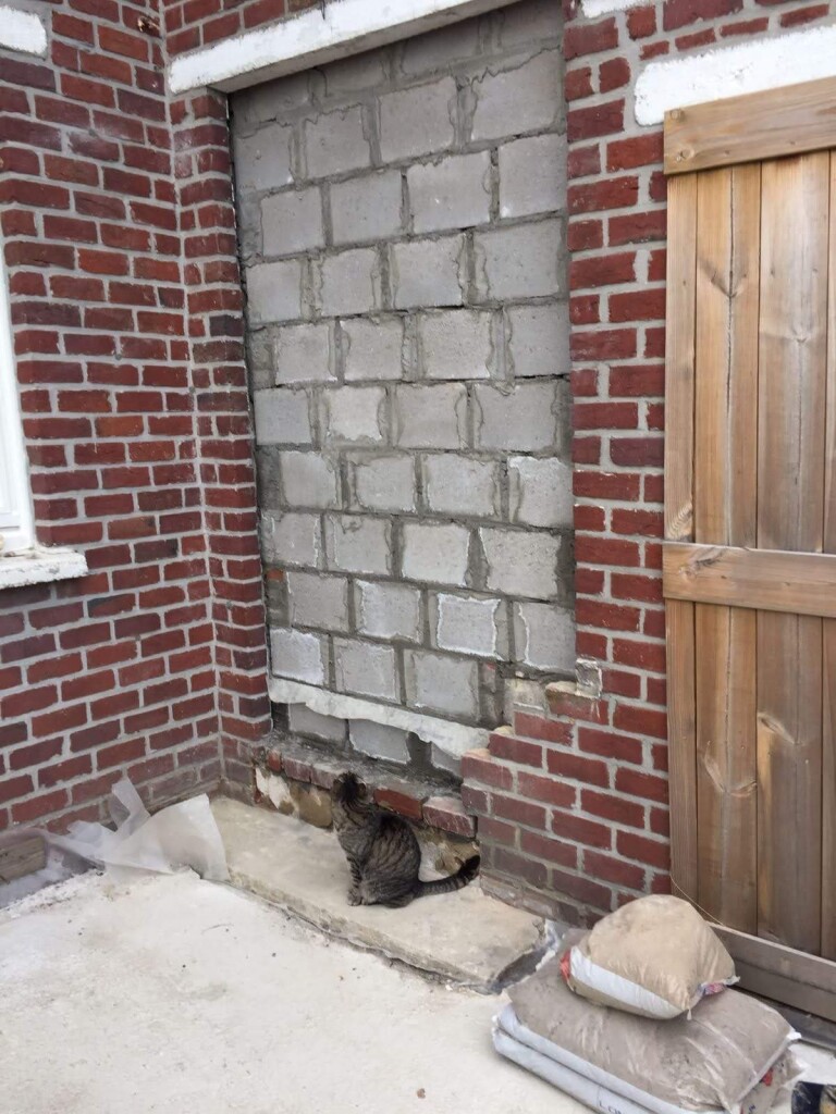 Red brick house with a door sized gap filled up with grey bricks, cat sitting in front of it, looking away from the camera, up to the door. Some cement bags laying around. 