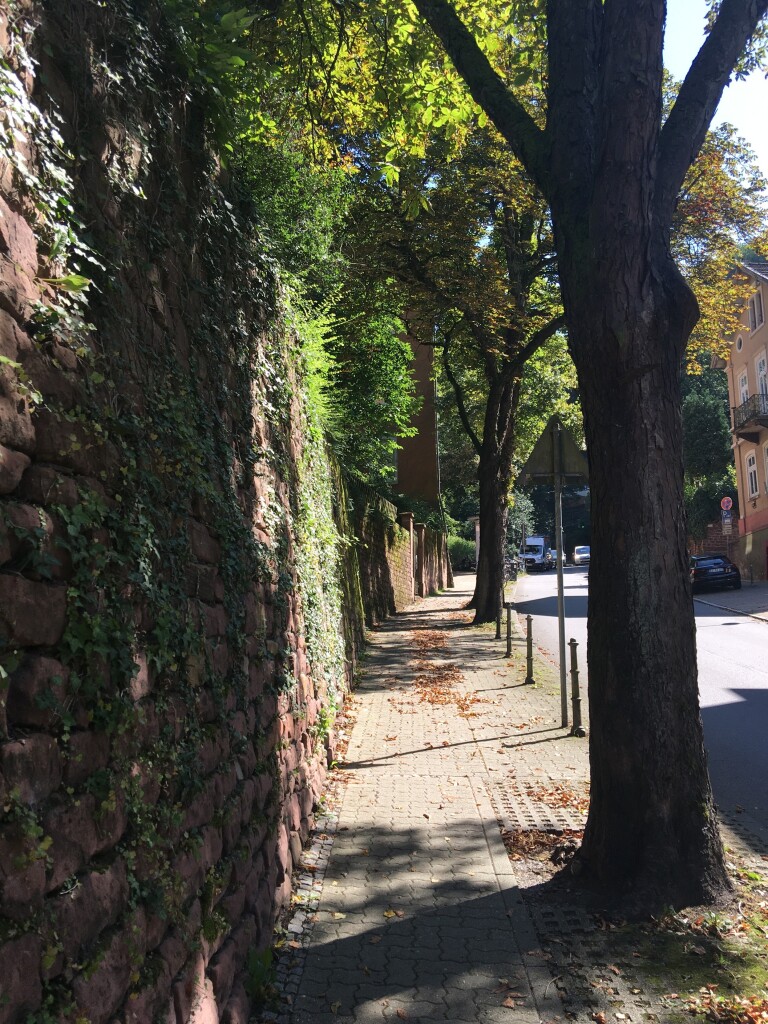 View up a street lined with trees and a mossy, plant-covered wall.