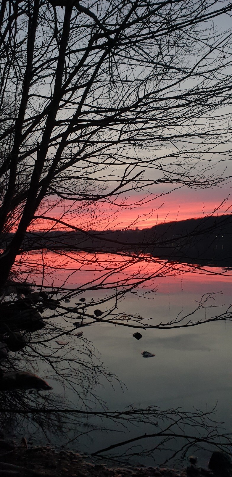 A photo of a sunset taken at a lake. The sunset creates a deep red stripe above the dark shore scross the lake that is reflected by the grey water. The branches of a tree leaning over the shore lay over the scene, seeming almost black in this light.