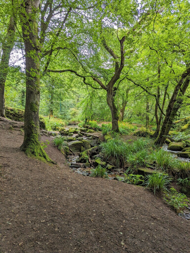 A woodland path, following a stream strewn with rocks.