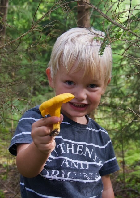 A happy young boy holding up a chanterelle in a pine forest