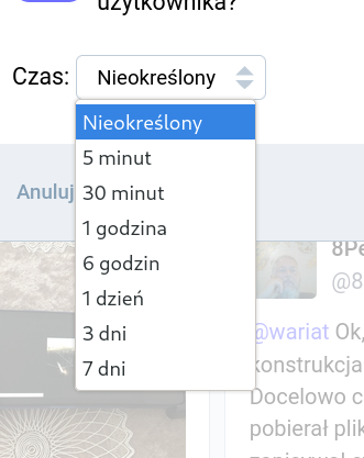 Fragment UI mastodona z opcjami czasu wyciszenia konta. 