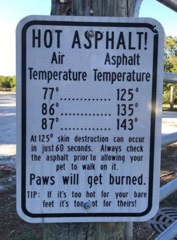 A sign warning about Hot Asphalt and the temperatures it can be dangerous to pets. The joke refers to an Irish folk song performed by The Dubliners (and others) called Hot Asphalt. 