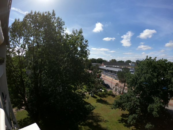 View from the window: tree on the left, street in front at the bottom, building, blue sky with cumulus clouds