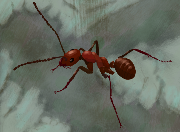 A drawing of an ant, she is red with little highlights and has 5 legs.