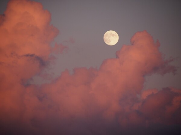 The moon in a light blue sky with salmon pink louds surrounding it
