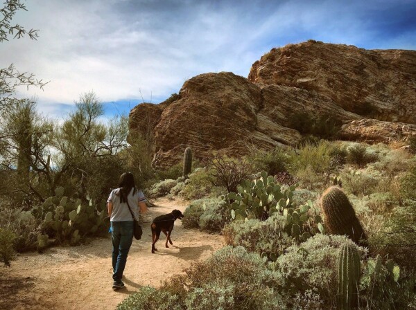 My girlfriend and our doberman walk up a desert trail surrounded by cactus and other green plants as they head upwards towards a rocky hill.