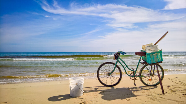 an old green bicycle with a green plastic basket in the back standing on a bright sandy beach, held up by a small plank of wood. there are various white plastic buckets on the beach and in the basked. tiny waves are collapsing in the background, the sea is otherwise very calm. blue sky with some white clouds scattered around. 