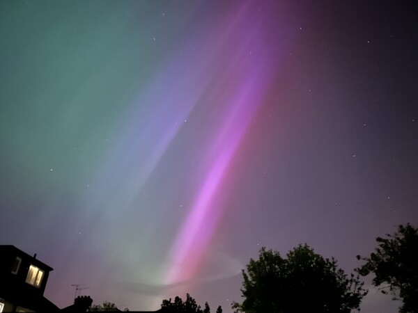 The recent aurora visible from the UK. Green and magenta ribbons trail down from the night sky. Stars are visible through it. Silhouettes of houses and trees line the bottom of the photo. 
