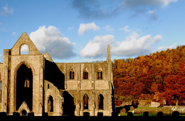 Tintern abbey lit in the warm fall sunlight, the backdrop of trees in vibrant oranges and reds at the height of the autumn. The sky is blue but uneasy, peppered with clouds, both white and fluffy and dark wisps