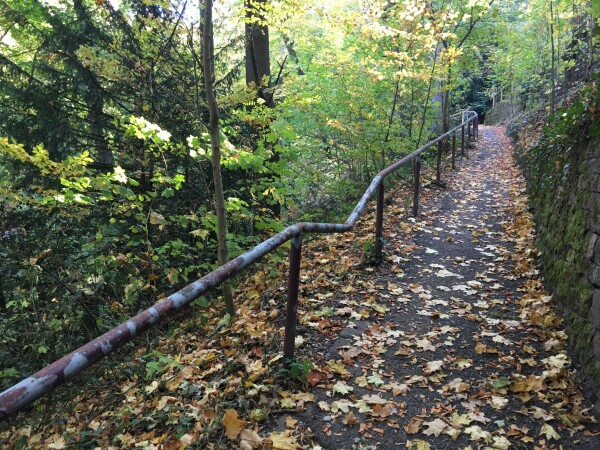 Forest path in autumn with a slightly bent railing.