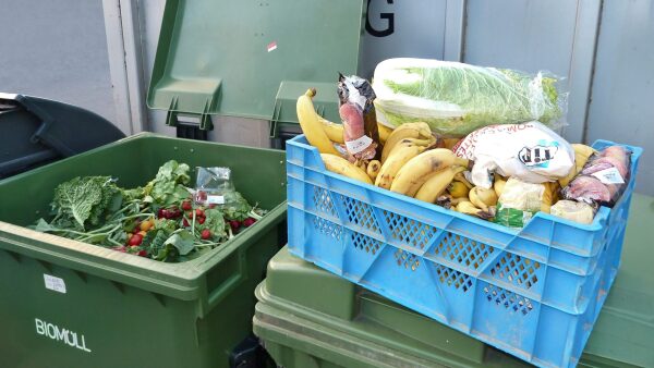 Wyjadający ze śmietników niszczą kapitalistyczną gospodarkę! - Wolnelewo